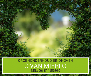 Groenonderhoud Eindhoven